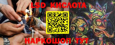 a pvp Аргун