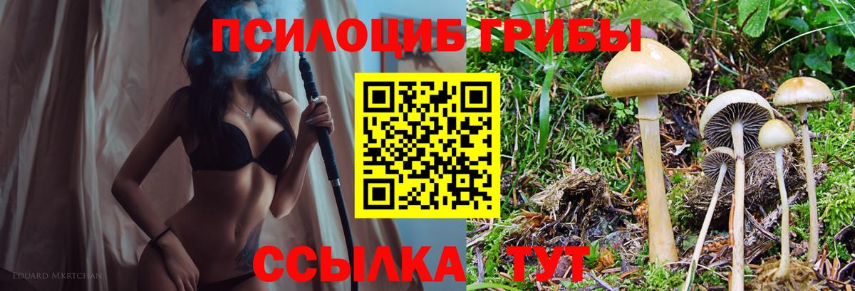 Галлюциногенные грибы мухоморы Ачинск