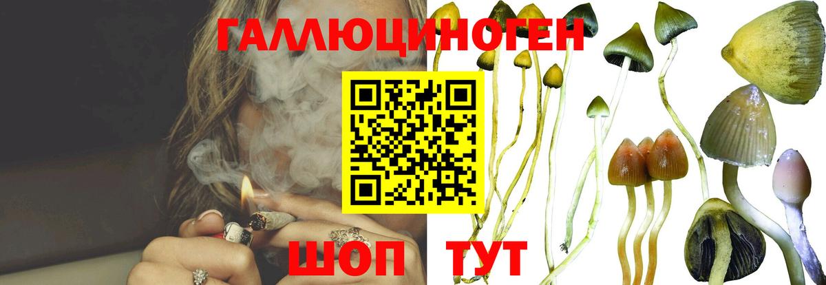 Галлюциногенные грибы ЛСД  Вход с VPN  Ачинск  Псилоцибиновые грибы Magic Shrooms 
